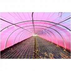 Peliculă pentru seră UV+AB+LD+EVA 10x30 m, 150 microni (36 luni) Turcia