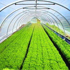 Peliculă pentru seră UV 12x30 m, 120 microni (12-24 luni) Turcia