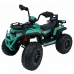 ATV electric ATV 900 JMBB5988