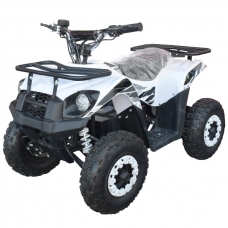 Квадроцикл электрический 500 Вт E-500FX (Белый)