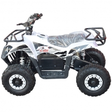 Квадроцикл электрический 500 Вт E-500FX (Белый)