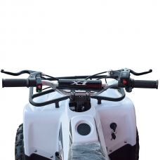 Квадроцикл электрический 500 Вт E-500FX (Белый)
