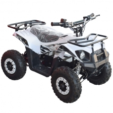 Квадроцикл электрический 500 Вт E-500FX (Белый)