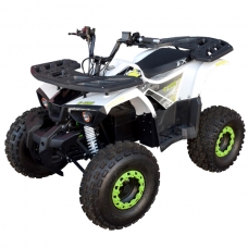 Квадроцикл электрический 1500 Вт E-1500FX (Белый)