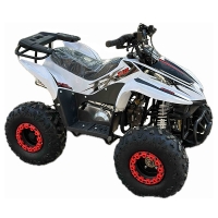 ATV pe benzină 110 CC SK-110FX Super Sport (Alb)