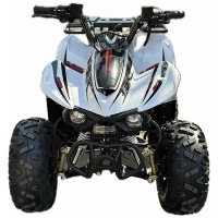 ATV pe benzină 110 CC SK-110FX Super Sport (Alb)