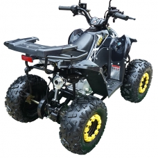 Квадроцикл бензиновый 110 CC SK-110FX Super Sport