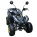 Квадроцикл бензиновый 110 CC SK-110FX Super Sport