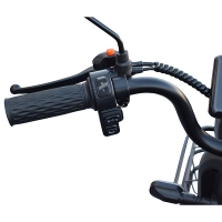 Tricicletă electrică 600W 60V MINSK ELECTRO (Negru)