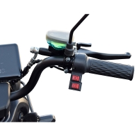 Tricicletă electrică 600W 60V MINSK ELECTRO (Negru)