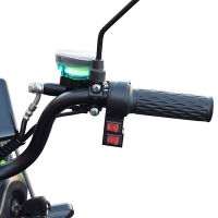 Tricicletă electrică 600W 60V MINSK ELECTRO (Verde)