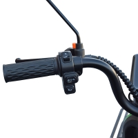 Tricicletă electrică 600W 60V MINSK ELECTRO (Verde)