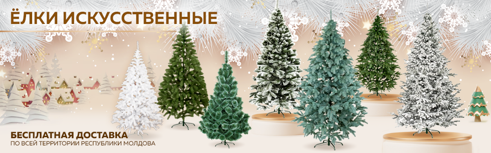Елки в Молдове