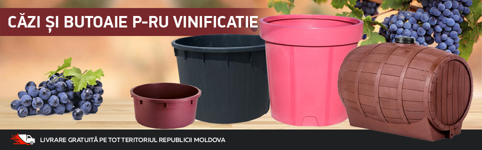 Butoaie și căzi pentru vinificație în Moldova